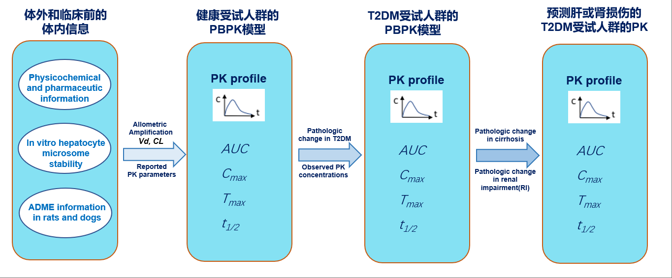 文章推薦 | 基于PBPK 模型預(yù)測(cè)加格列凈在伴有肝硬化或腎損害的Ⅱ型糖尿病患者中的藥動(dòng)學(xué)特征