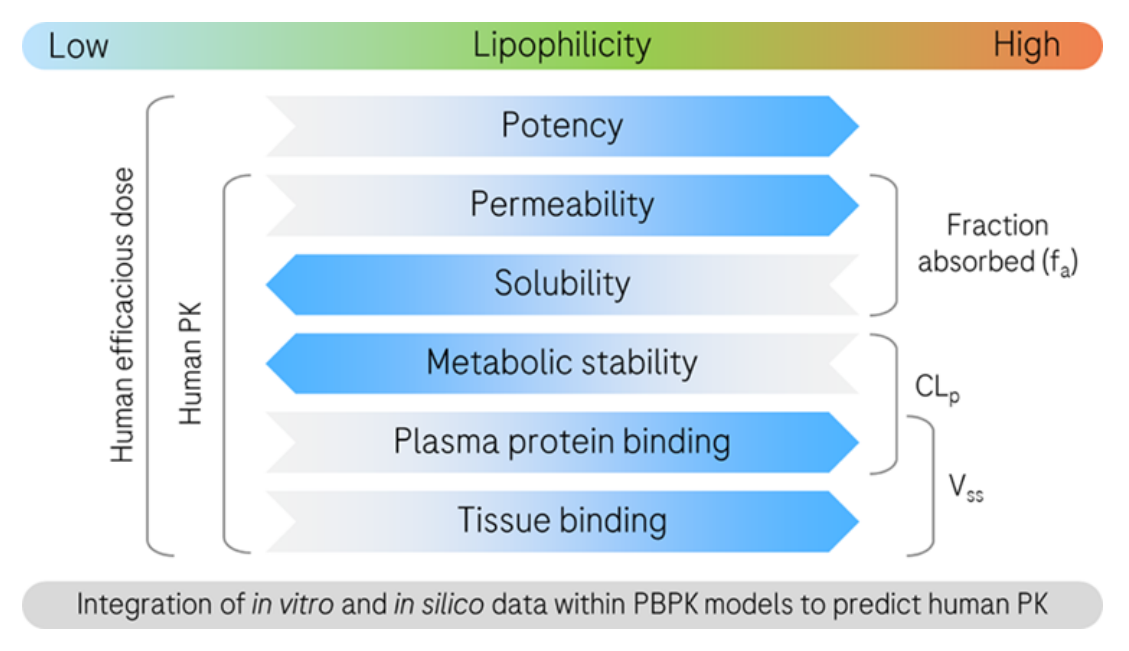 建模文章解讀 | 將預(yù)測(cè)或?qū)崪y(cè)數(shù)據(jù)整合到PBPK模型中，能否準(zhǔn)確預(yù)測(cè)高脂溶化合物的臨床PK？