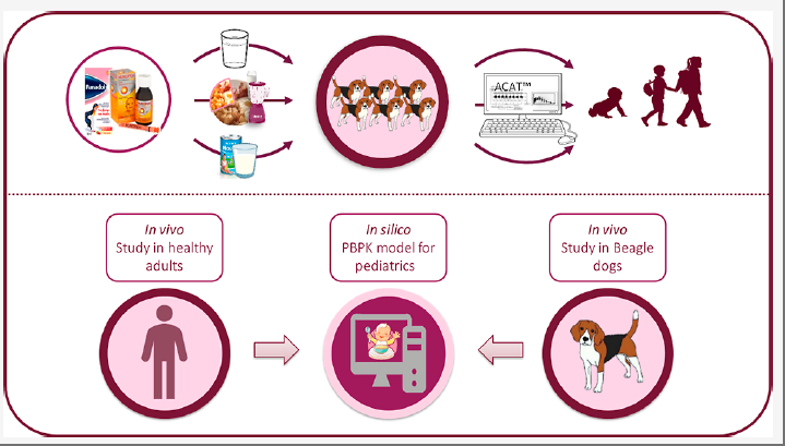 建模文章解讀 | 考察比格犬PBPK模型評(píng)估撲熱息痛和布洛芬口服給藥后在兒科人群體內(nèi)暴露的適用性